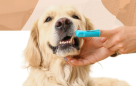 Vets For Pets Veterinary Clinic