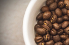Specialty Batch Coffee Roastery & General Trading