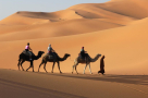 Desert Gate Travel Desk