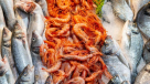 Burum Fish Trading