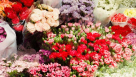 Aura Flowers Boutique