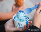 The Ice Cream Lab