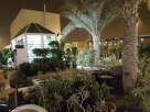 Garden Worx
