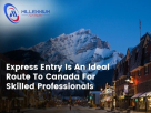 Millennium Advisory Visa Services