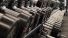 Muscle Monsters Gym