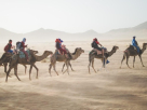 Arabian Discovery Tours & Travel