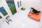 Churchwoods Pet Hotel