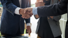 Mirage Companies & Establishment Management