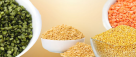 Golden Rise Processing & Packaging