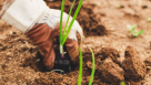 Agrisoil Organic Fertilizer Trading