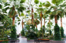 Green Gardenia Landscaping