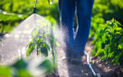 Maxi Fresh Agricultural Pesticides Trading