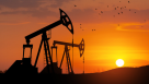 FBB Petroleum