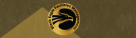 Black Eagle Professional Services