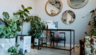 Boho Ladies Salon