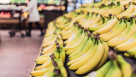 Sanaum Grocery