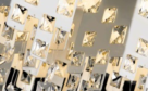 Safety Electrical Group - Lighting Trading Division