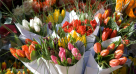 U R Just Flower