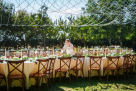 Golden Tent Wedding Organizing