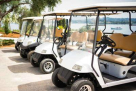 Luxury Carts Group