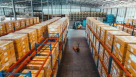 The Phoenix Sky General Trading