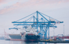 Trans Logics Freight