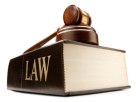 Khalifa Bin Omair Advocates & Legal Consultant
