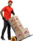 Zuhal Pack Inernational