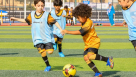 Golden Tigers Sports Academy