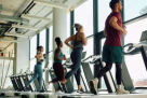Champs Sports And Fitness Club L.l.c