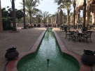 Arboretum Jumeirah Al Qasr