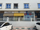 Pet Spoiler Domestic Pets Grooming Est.