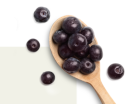MLT Ice Cream Manufacturing