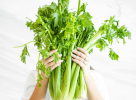 Socelery