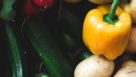 Omer Faruk Grocery