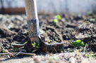 Najmat Al Safa Landscaping
