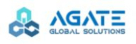Agate Global Solutions LLC