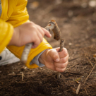 Beginnings Montessori
