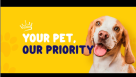 Kings Vet Clinic