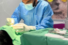Pet First Veterinary Clinic