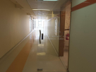 Royal Asthetic And Medical Clinic