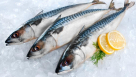 Wadi Al Rahma Foodstuff Trading