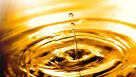 Al Muheeb Diesel Trading