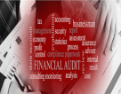 Youssry Adel Tax Consultant