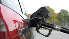 Energy Gate Diesel Trading