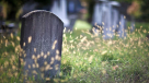 We Help Funeral Services