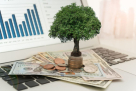 Trust Investment