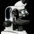 International Dermpath Consult