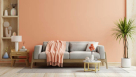 Habib Used Furniture Buyer Seller