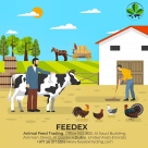 Feedex Animal Feed Trading